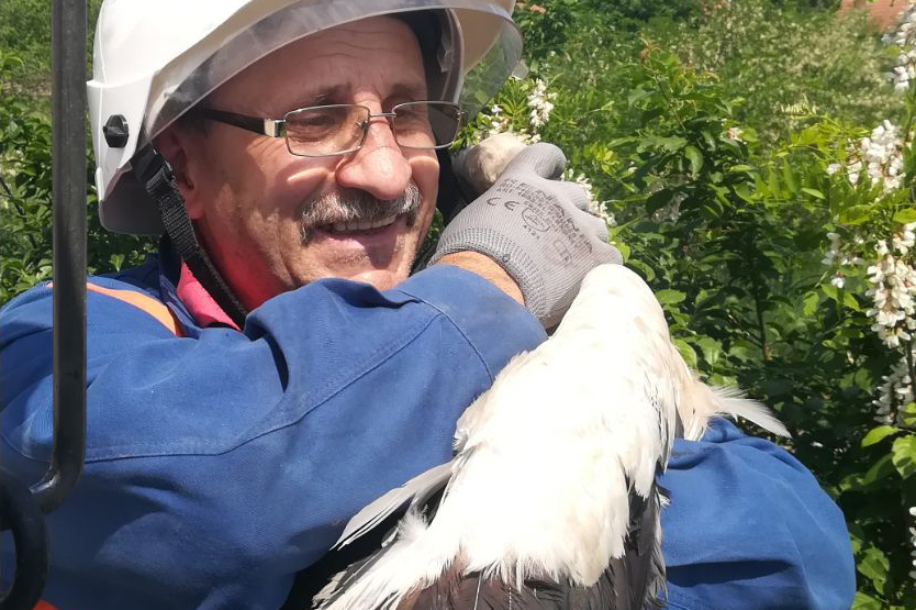 Rețele Electrice employee with a stork in his arms